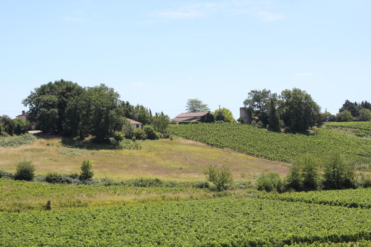 Fronsac  Les Charmes De Vincent - Le Loft Cabernet Bed & Breakfast エクステリア 写真